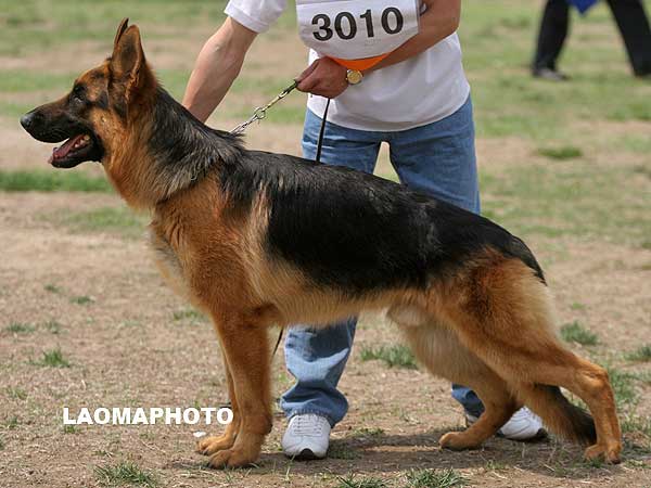 SG4 3010* Kaiste von HanTang 公 2006-08-11 CSF6002 CSZ36469 段平付