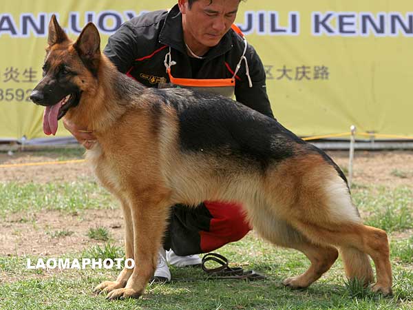 SG2 4038* Cardi von P&D 母 2006-08-03 CFN2196 CSZ34410 刘洪进