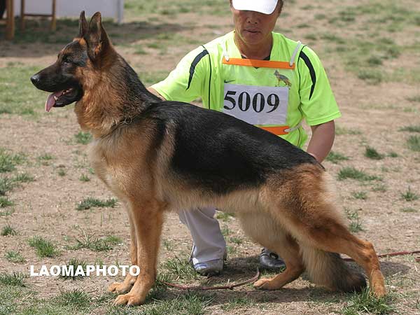 SG1 5009 Abari von GuangYou 公 2006-11-18 CTS2803 CSZ40406 董文彬