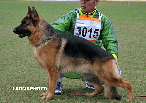 SG1 3015* Jacky von WenXing 公 2006-07-24 CAN9631 CSZ33409 董文彬