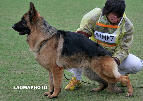 SG5 3007* Eiko von YuTai 公 2006-04-10 CIF0235 CSZ29192 占丰飞