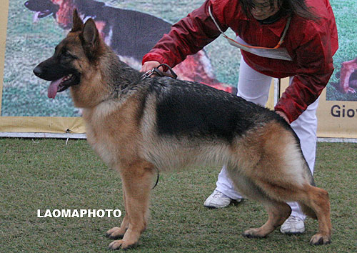 SG5 4019* Cardi von P&D 母 2006-08-03 CFN2196 CSZ34410 刘洪进