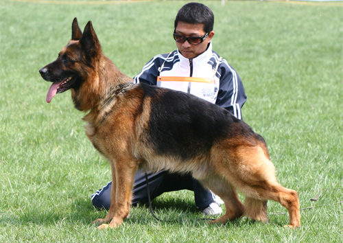 V1 1068* Yimmy van Contra 公 2002-11-01 8156 CSZ8001743 李春祥