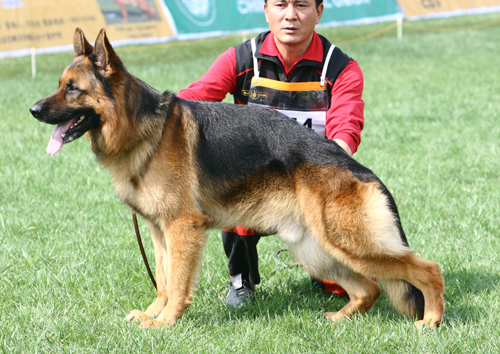 V5 1054* Darius van Noort 公 2004-06-15 D-E3686 CSZ8001176 张弛