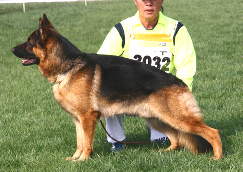 SG2 3032* Narro von WenXing 公 2006-07-02 CAN9600 CSZ33423 董文彬