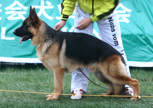 SG2 5021* Icko von ZhongHao 公 2006-10-22 CEM5809 CSZ42545 俞陆