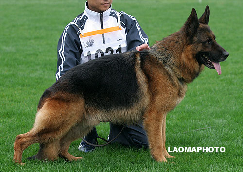 V1 1021 Yimmy van Contra 公 伊米 2002-11-01， 8156 　CSZ8001743 　李春祥