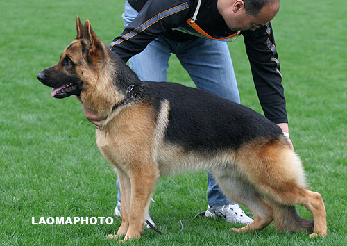 SG4 3015 Zack von WeiSheng 公 2006-05-15 CJN3265 CSZ33000 赵渝