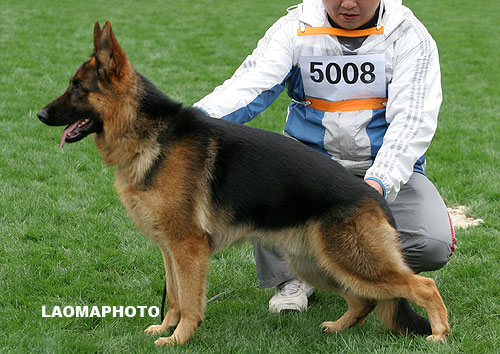 SG1 5008 Eaton von TaiHe 公 2006-09-24 CDF1886 王立民（泰和）