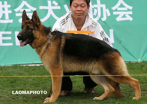 SG2 5016 Bado von GuanGong 公 2007-01-20 CSS7143 CSZ43343 马瑞俊