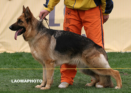 SG1 6036* Baggi von OuWeiJie 母 2006-10-08 CDF1788 CSZ36816 吴秀香