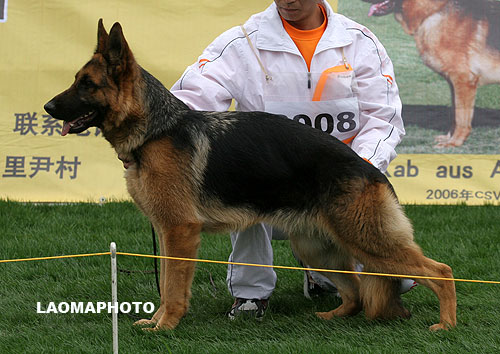 VV2 8008 Moscan von ShengWei 母 2007-04-18 CRS2161 CSZW47874 胡佑国