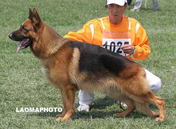 V5 1025* Erko of Fable Land 公 2005-03-06 A05-070 CSZ8001738 李经涛