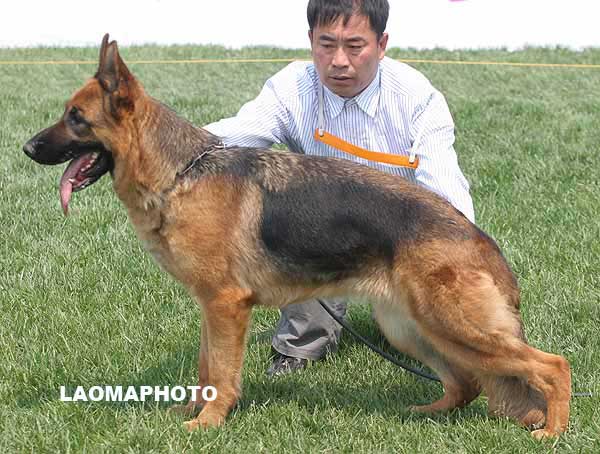 V3 2008 Lona von Dossel 母 2004-7-14 CAL3796 CSZ0007050 边振宇
