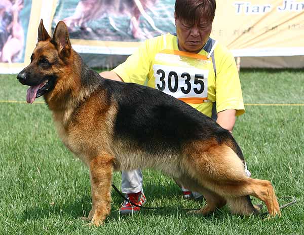 SG4 3035* Adagio von SuBei 公 2006-07-04 CFN1902 CSZ34197 葛立军