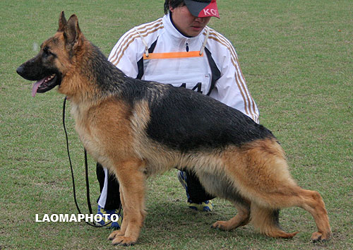 SG5 5014 N-Quando of Hause Oujung 公 2007-01-07 B5768 CSZ8001736 高贤俊