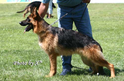 VV03　7009　Kaio von WeiSheng　公，2007-08-14，CJS4728，CSZ60344　陈玉新(玉新)