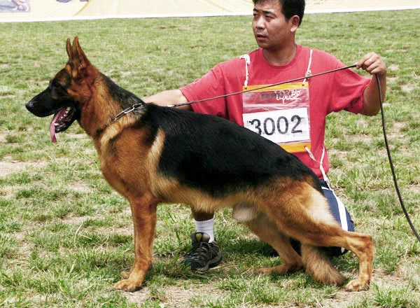 SG4　3002　Cadut  von FangZheng　公　2007-02-03　CRN1961　CSZ42193　方正强