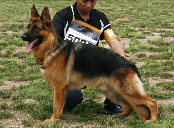SG2　5005　Inke von GuiZu　公　2007-04-23　CWS1373　CSZ47387　李祥