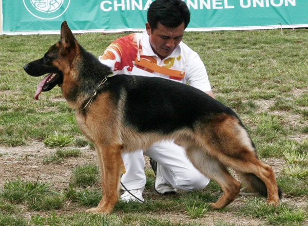 SG3　5006　Iona von GuiZu　公　2007-04-23　CWS1374　CSZ47388　范国锁