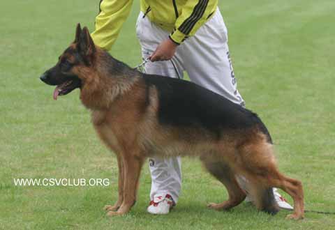 V3　Jacky von WenXing,公,2006-07-24,CAN9631,CSZ33409,董文彬