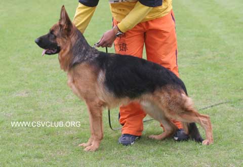 SG2　5025　Neic von AiDe,公,2007-10-29,CPM1300,CSZ71585,陈革