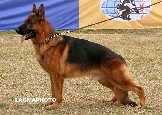 1017* 　V4　Faro von der Orangerie　公　2005-03-07　K-G4669　CSZ8001775　李剑(齐国)