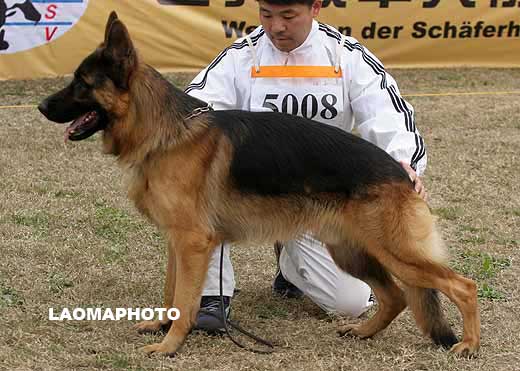 5008* 　SG3　Ago von XingWu　公　2007-06-14　CSF7944　CSZ55930　张武战