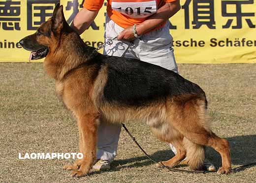 1015*　V3　Fritz von der Freiheit Westerholt　公　2002-06-01　F-N7752　CSZ8001719　牛福林