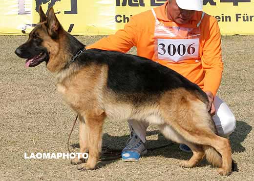 3006　SG3　Sam von DiGuo　公　2007-04-19　CWN1422　CSZ48895　葛立君