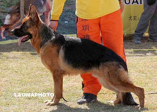 5010　SG2　Neic von AiDe　公　2007-10-29　CPM1300　CSZ71585 　陈革