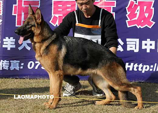 0001　VV4　Gina DeJiang　母　2008-04-11　CGN0857　CSZ71124　朱健江
