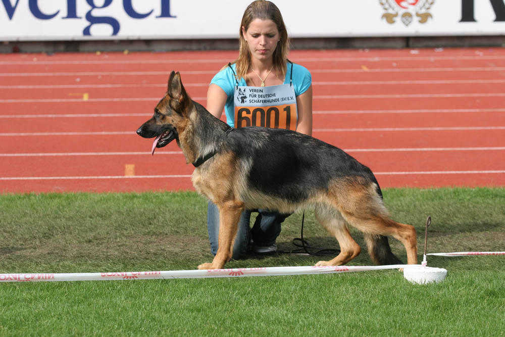 SG6　SZ2185441　 Rimini v.d. Zenteiche