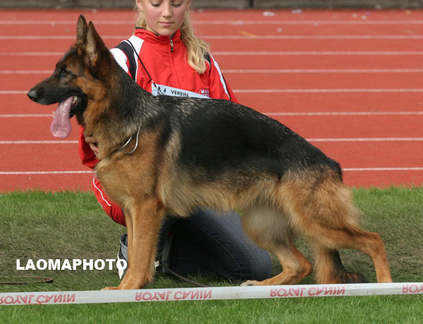 SG5 　6094 　sz2181471 　Zenzi vom Zellergrund